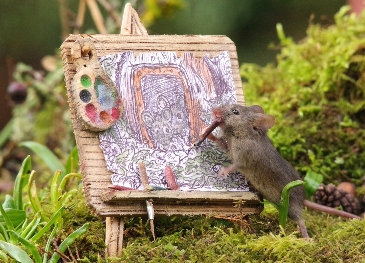 George the Mouse in a log pile house - Simon dell tweet media