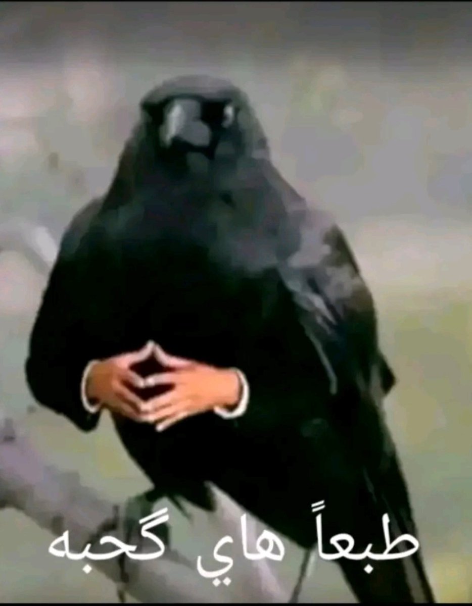 آسوَّد tweet media