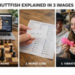 Photo by Buttfish Coin (@ButtfishCoin)