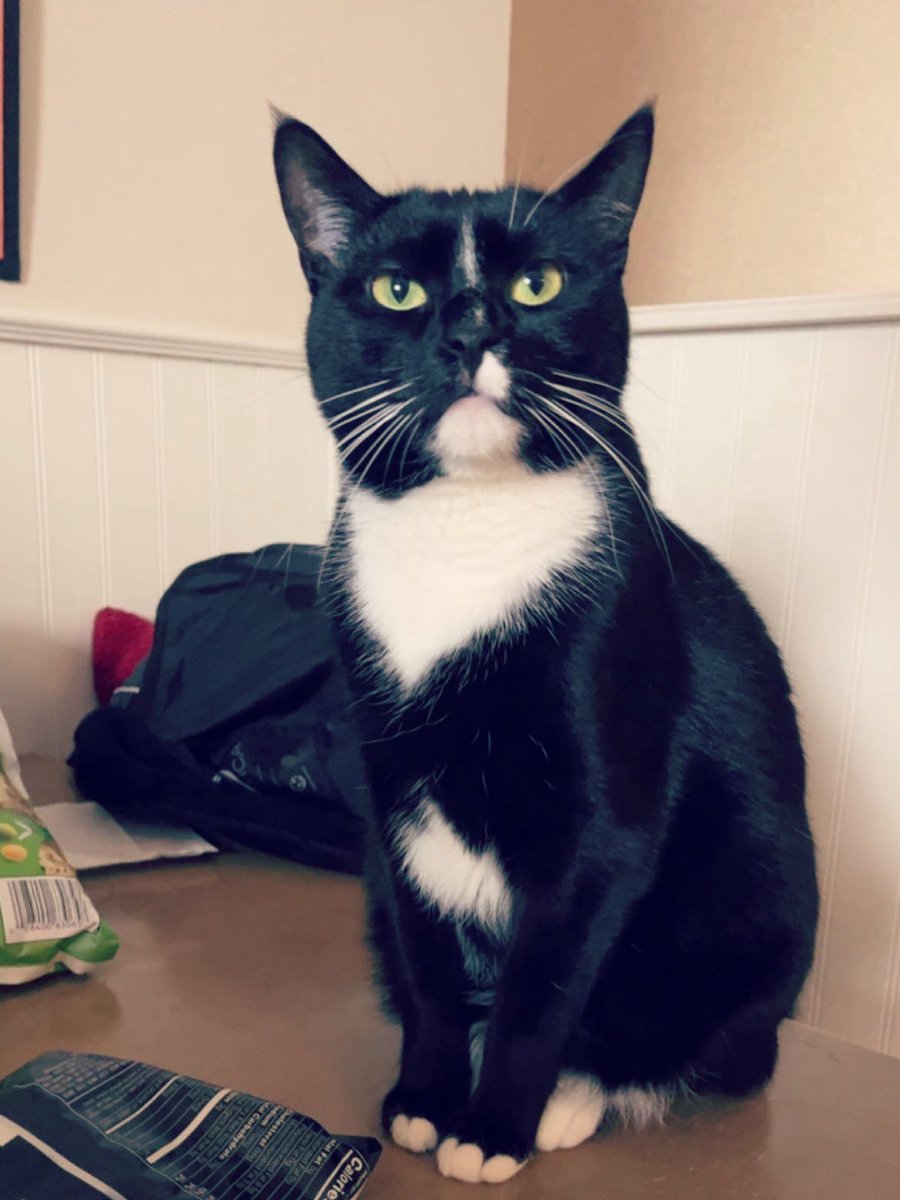 NobodyListensPaulaPoundstone tweet media