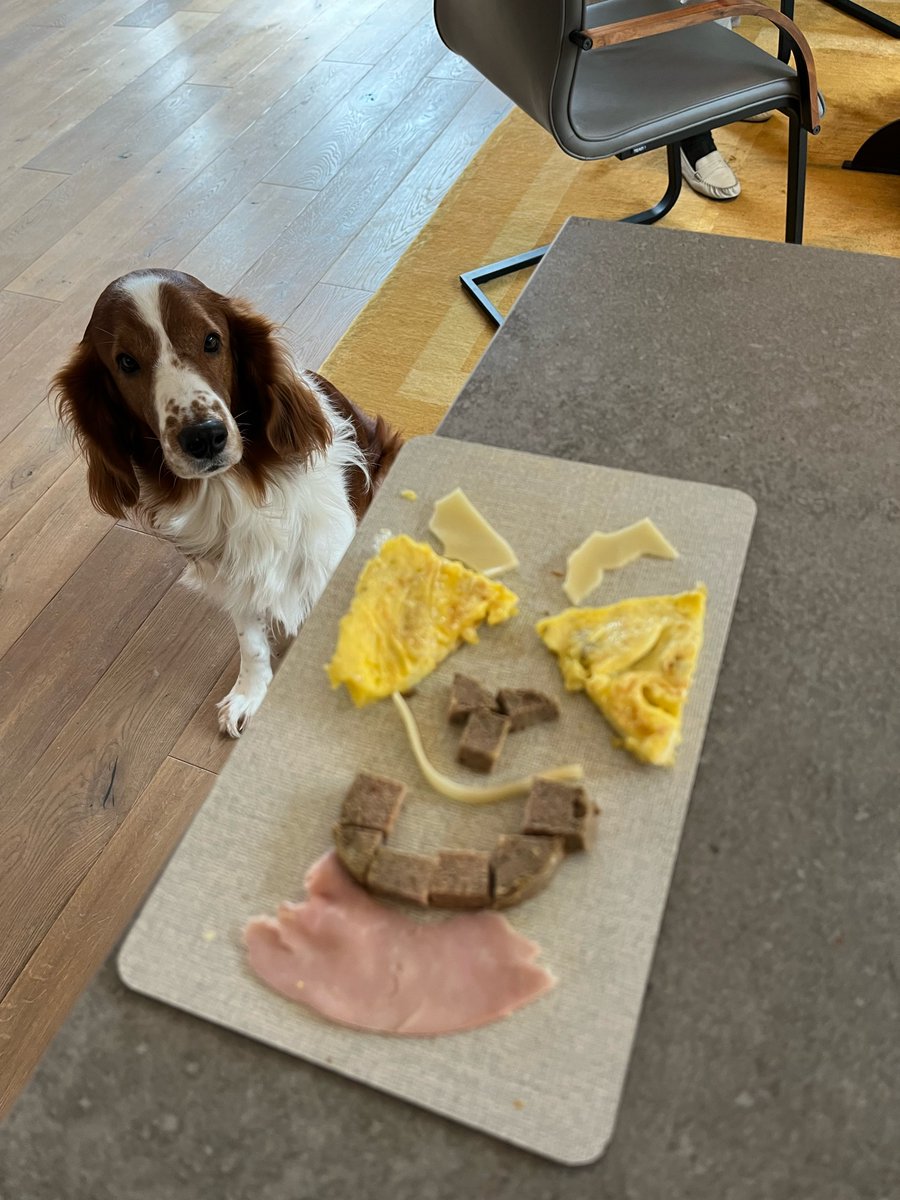 Auch wenn mein Schreibknecht mal paar Tage im irregulären Streik ist 😤denke ich natürlich trotzdem immer an euch. 🥰Vor allem beim Genuß des Sonntags-Ei. 😋<a href="/mav_cologne/">Eric Hoch</a> <a href="/MilchSchnitte2/">Milch Schnitte</a>