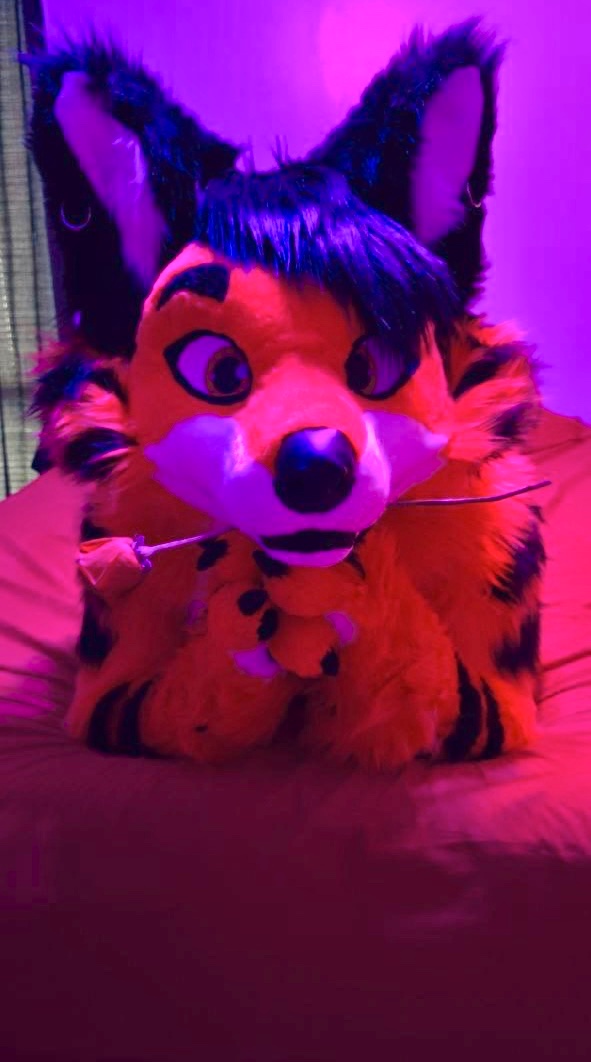 SethVixen tweet media