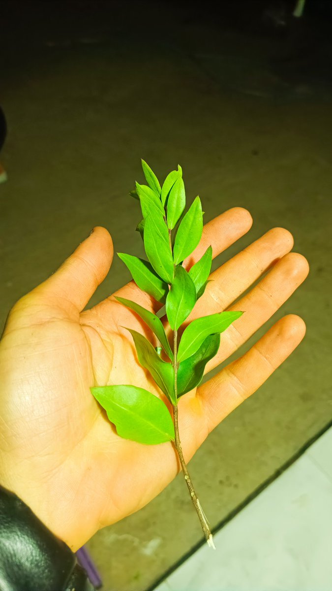 Bayram; huzurdur, berekettir, mutluluktur ama en çok da çocukluğa olan özlemdir. İyi bayramlar yeruhe🫶🙏