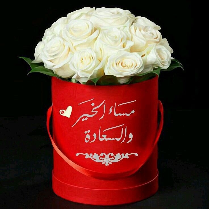 فضلا رتويت للدعم ليكسب الجميع متابعات جديدة وتعم الفائدة
<a href="/zd8457/">zd845</a>
<a href="/FFL33li/">♛زهرةالربيع♛</a>
<a href="/9BBH8/">سعود</a>
<a href="/6T1S1/">.</a>
<a href="/nar1790/">ابو احمد</a>
<a href="/8DDHH/">𝐬𝐚𝐞𝐞𝐝 𝐚𝐥𝐬𝐡𝐚𝐡𝐫𝐚𝐧𝐢 #</a>
<a href="/5FF8H777/">𝑻𝑯𝑬 𝑺𝑻𝑼𝑩𝑩𝑶𝑹𝑵11</a>
<a href="/2saadii/">2:saad</a>
<a href="/5FF8H9/">5FF8H9</a>
<a href="/133i1/">𝑨𝒊𝒏𝒂𝒎 𝑨𝒍𝒊☀︎︎</a>
<a href="/cy__w/">𝐉𝐀𝐌𝐉𝐎</a>
<a href="/IK151/">𝕊ʜᴇʀᴅɪʟ 🇵🇰 IK</a>
<a href="/vav7v/">Mavi</a>
<a href="/__8XC/">فــرز الســروري نشــط🔥🚀</a>
<a href="/2FZFF/">Professor. Mustafa🔥</a>
<a href="/1_da11/">💙 داريــــن 𝗗𝗔𝗥𝗜𝗡 💙</a>
<a href="/dr4mf/">مقيد عن رد المتابعهDr Abo Maan</a>
<a href="/33_azim/">M. Azim</a>
<a href="/2cm/">ص̷ق̷ر̷ 🇸🇦 </a>
<a href="/1llIIr/">‏صريح 🇰🇼</a> 
<a href="/8DDHH/">𝐬𝐚𝐞𝐞𝐝 𝐚𝐥𝐬𝐡𝐚𝐡𝐫𝐚𝐧𝐢 #</a> 
<a href="/AliMaalak87021/">maalak</a>