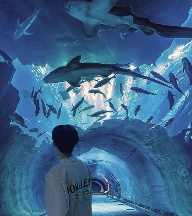 𓄼 Riley tweet media