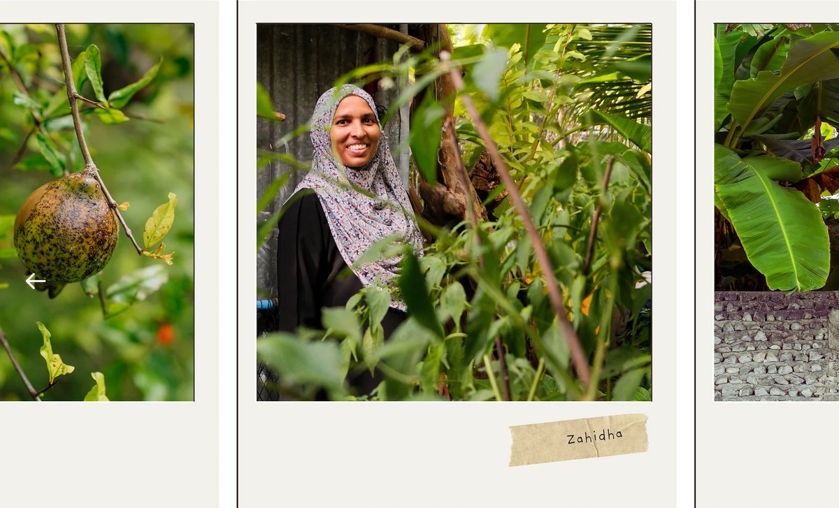 Small Grants Programme tweet media