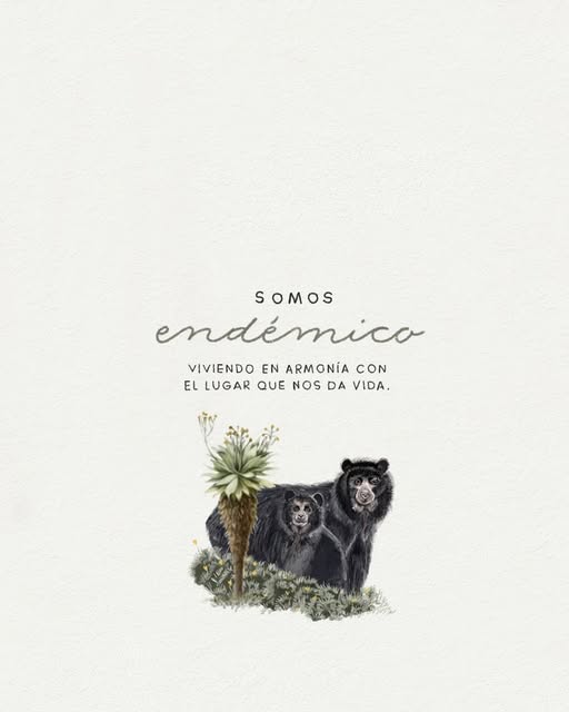 Andean Bear Found. tweet media