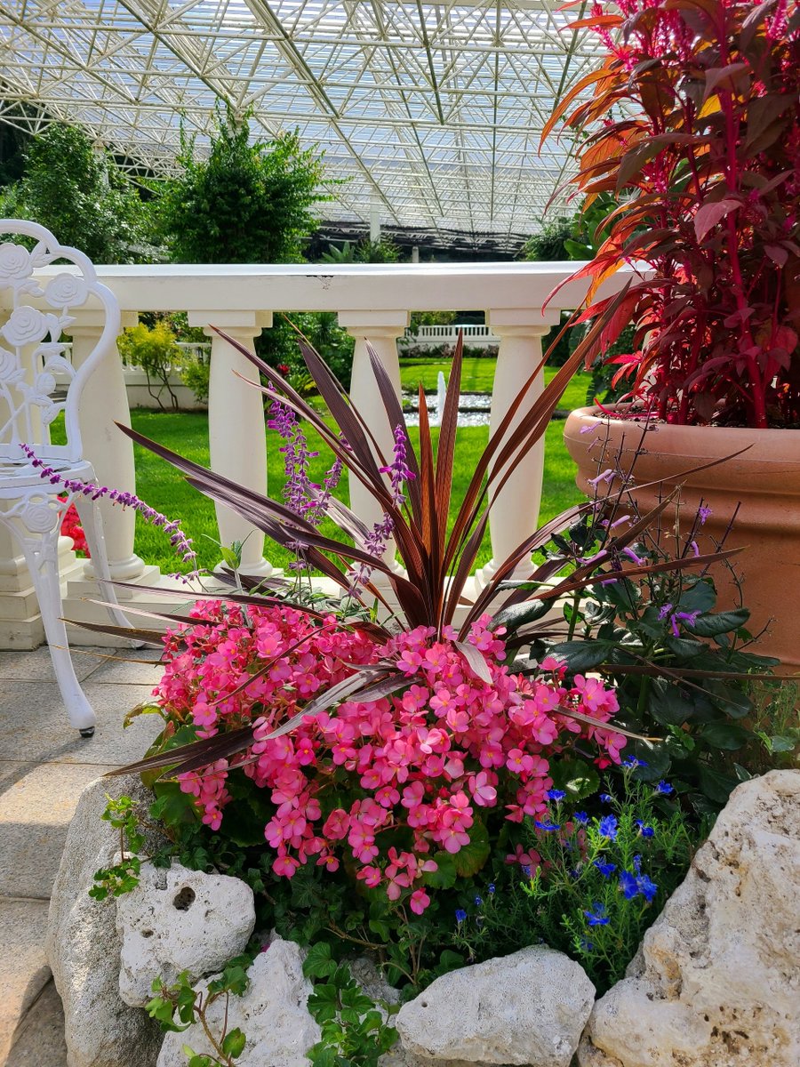 Flowers Community on X - 139.5K Members