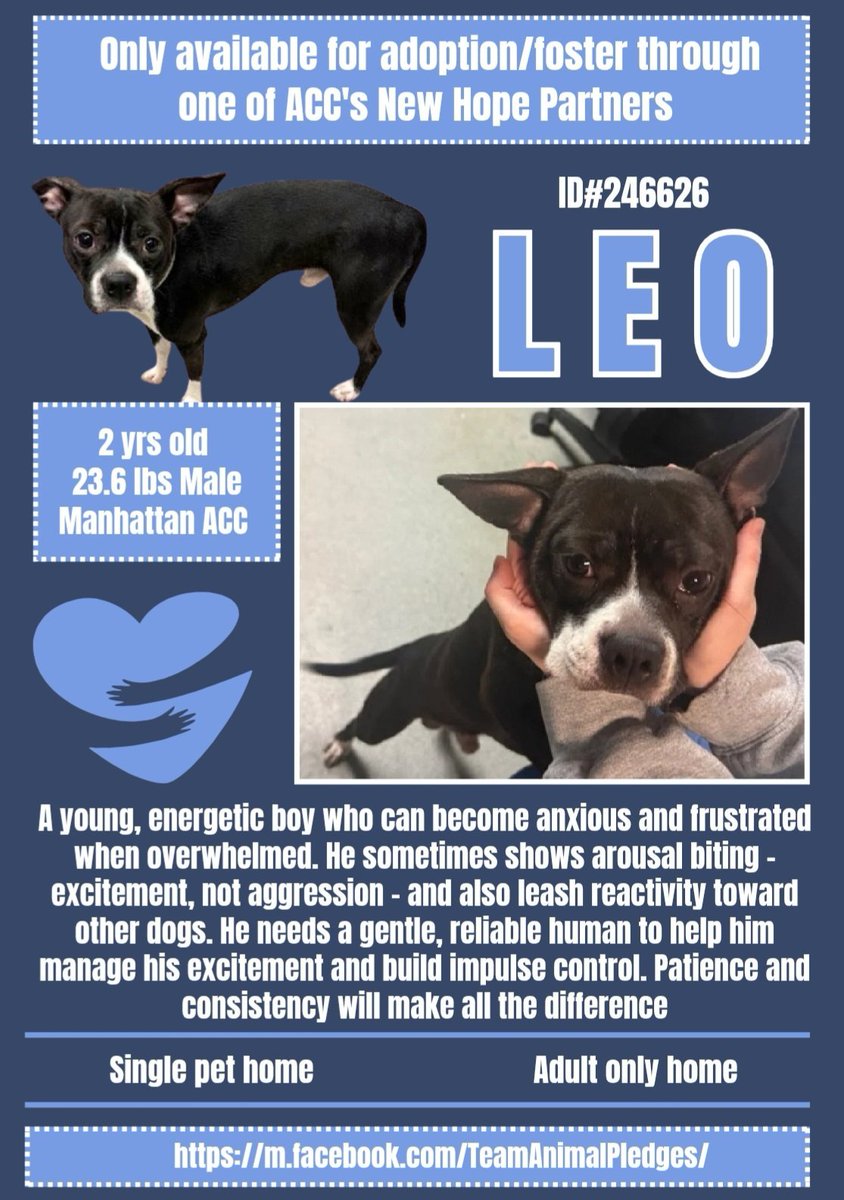 Char Bolen tweet media