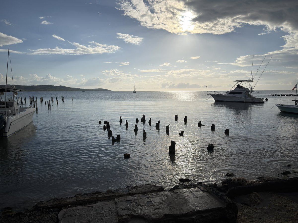 Another day in paradise 🇵🇷🎉🌺 #pr #PuertoRico