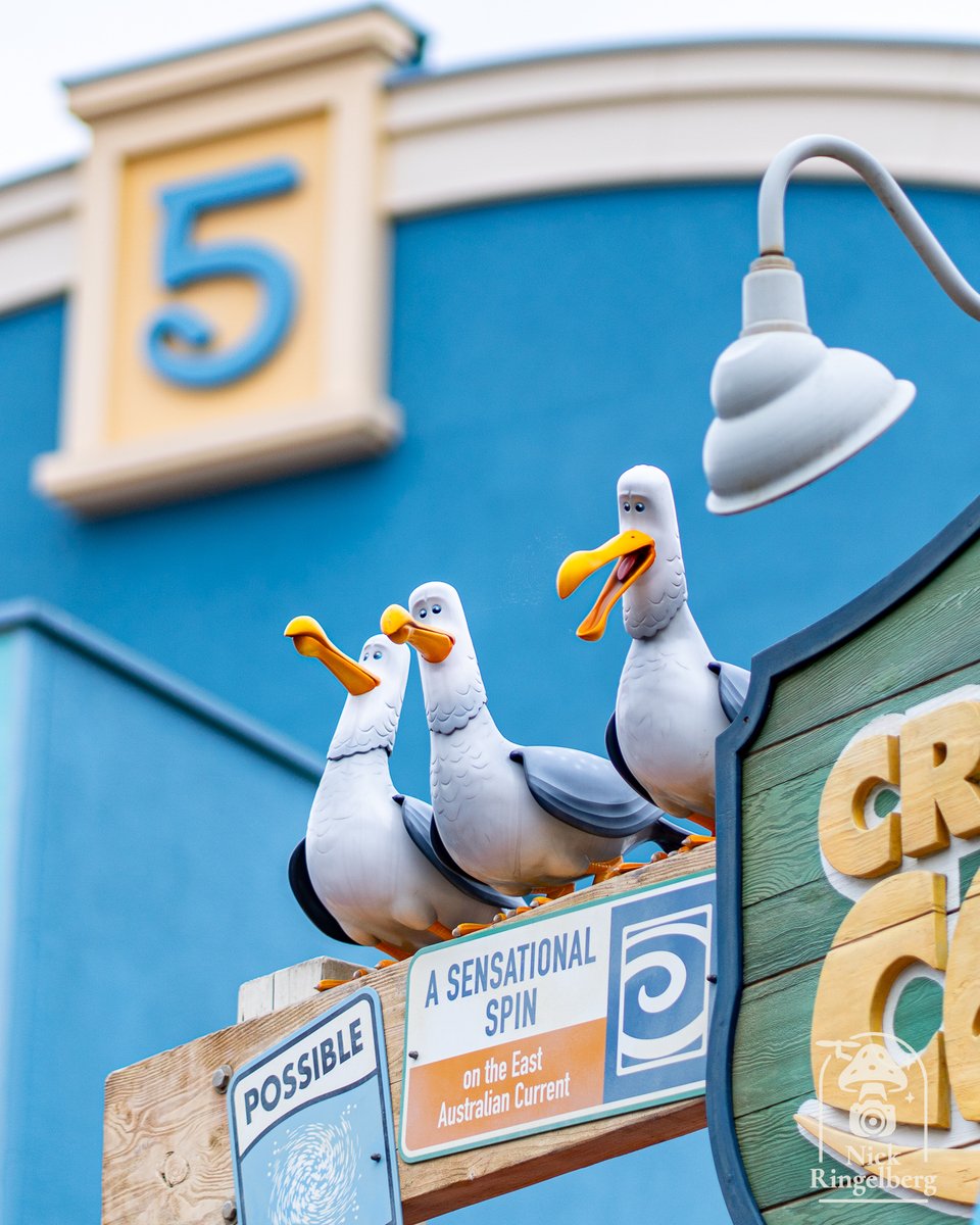 RingelbergNick's tweet photo. Het een magische Disneyland Parijs.
#DisneylandParijs #Magisch #DisneyMagie #Parijs #Sprookjeswereld #Pretpark #Vakantie #Gezinsuitje #Droomvakantie #DisneyFans https://t.co/xrTYV8egNh