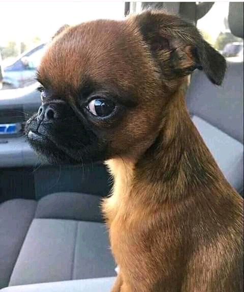 Easylink Web3 Crypto tweet media