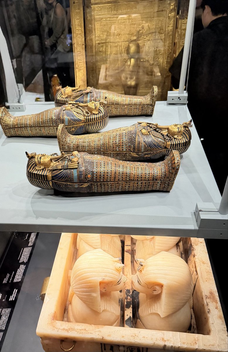 MPAlexanderMD's tweet photo. To #pathology geeks here are two images. What organs are usually left in the canopic jars? What organs are left behind in the mummies? Which Egyptian God is shown here? #autopsypathology https://t.co/lW4ehZzSY5