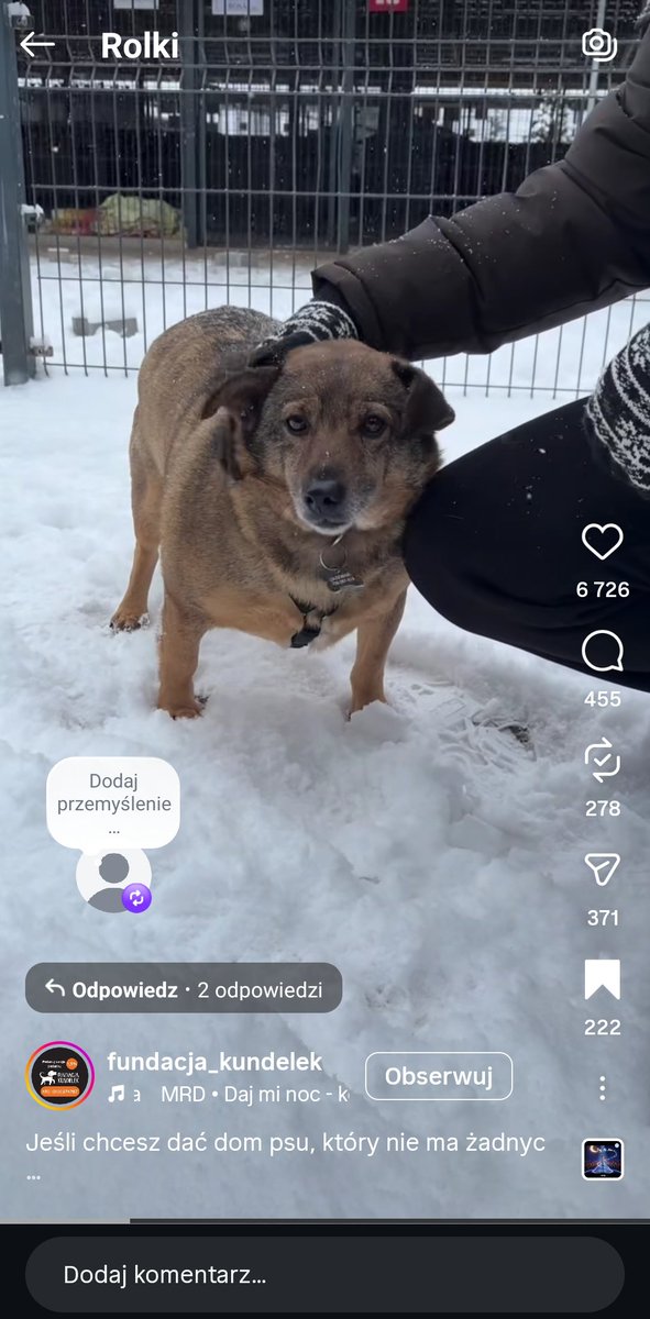 Słodzinek Moris ❤️❤️❤️ pilnie szuka kochającego Domu! ❤️

Fundacja Kundelek, tel.  728-267-534
instagram.com/reel/DToAzIdCP…