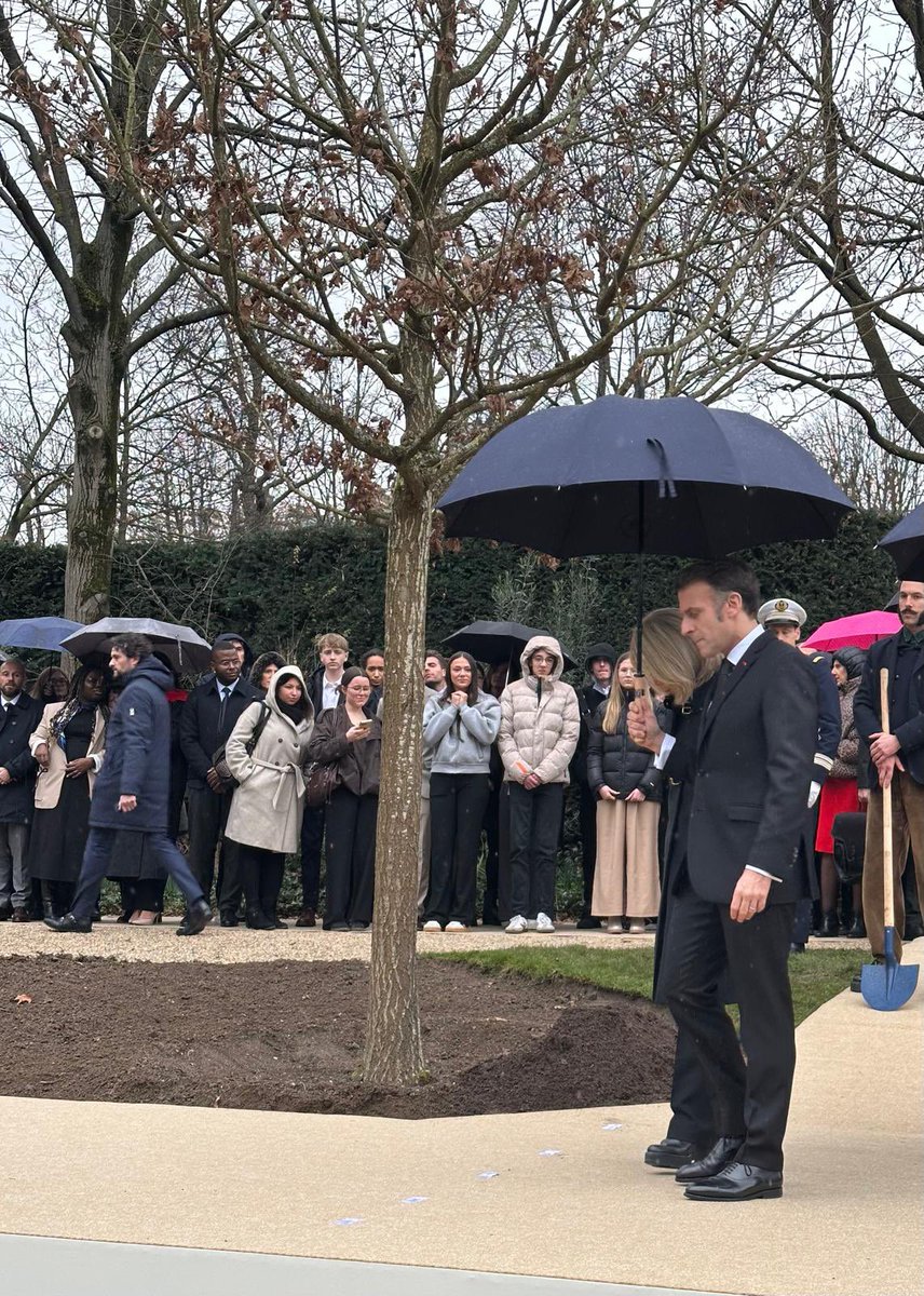 Ilana Cicurel tweet media