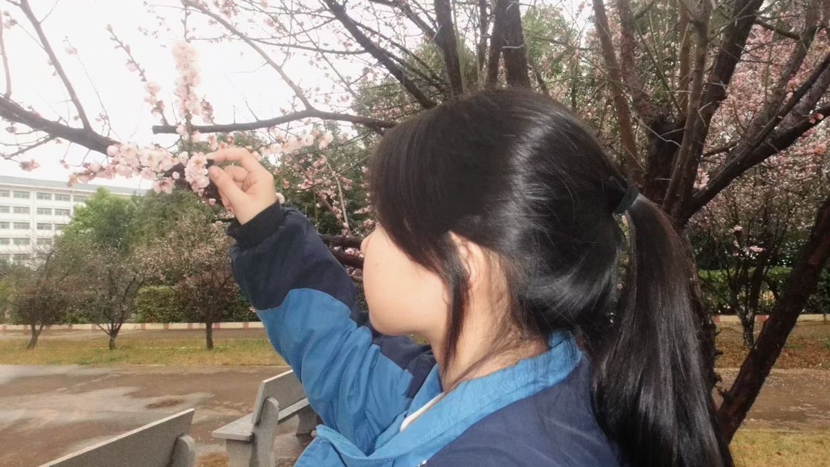 mimi461267's tweet photo. 🎐 https://t.co/RNpmUh8LoH
