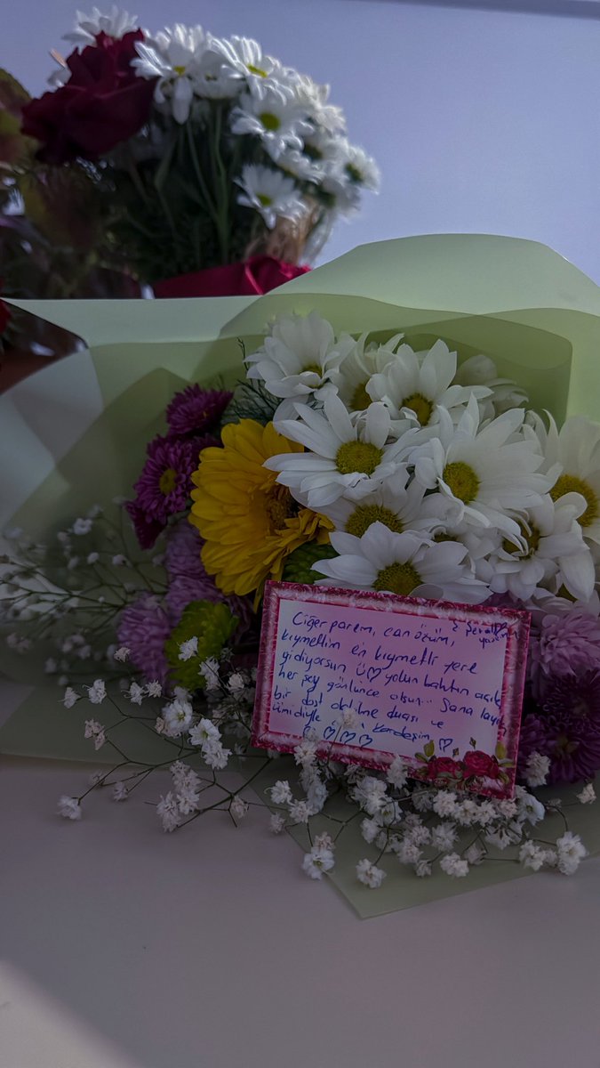 Âmine Şevval Oral tweet media