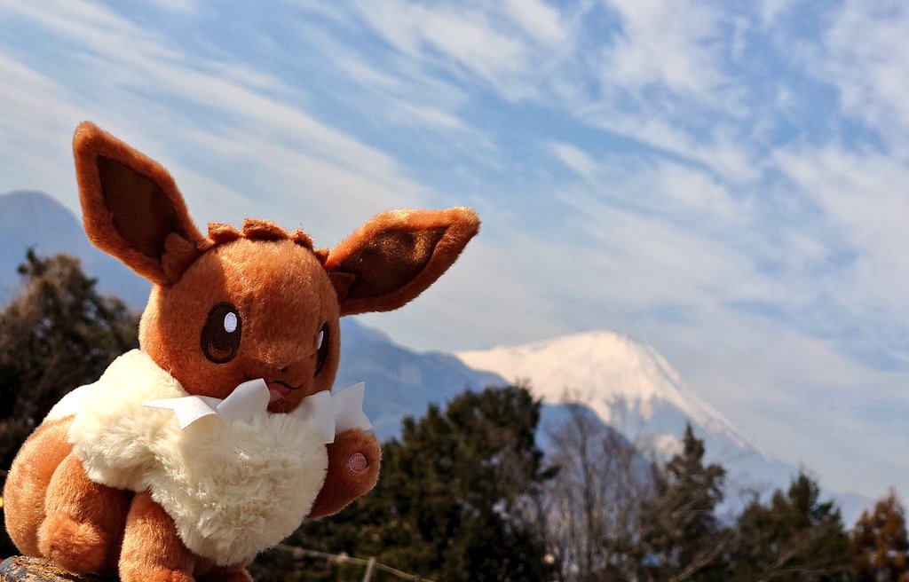 おはようございます☀

マウンテンフジ、上手に撮るの難しい🗻

#ポケぬい #富士山