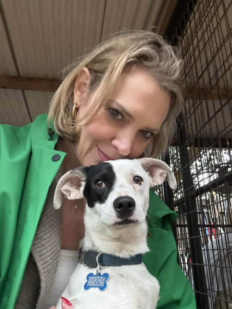 Woke up without a pet and ended the day with this pup. 🩷