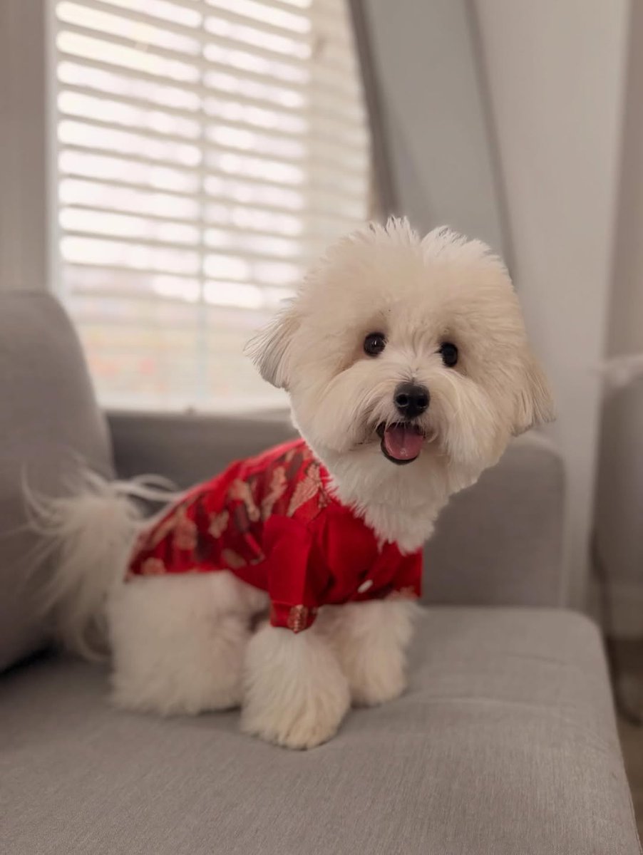 Monday Morning Reality Check with Winston! 😴🐾

Is it just us, or did Monday arrive a little too quickly? Winston is currently representing all of Atlanta as he stages a peaceful protest against the start of the work week. 💤✨

What’s your pet’s "Monday Mood" today?