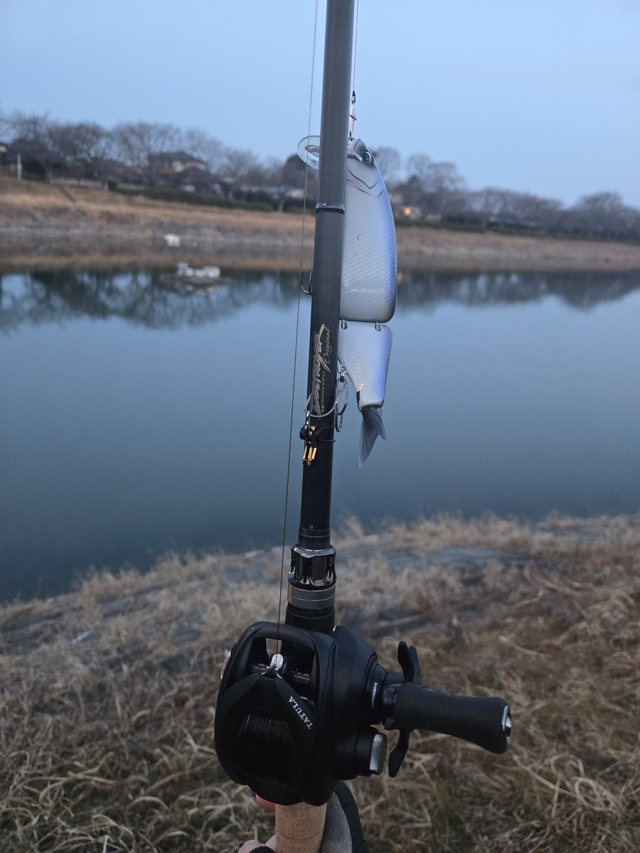 まっつん(復活) tweet media