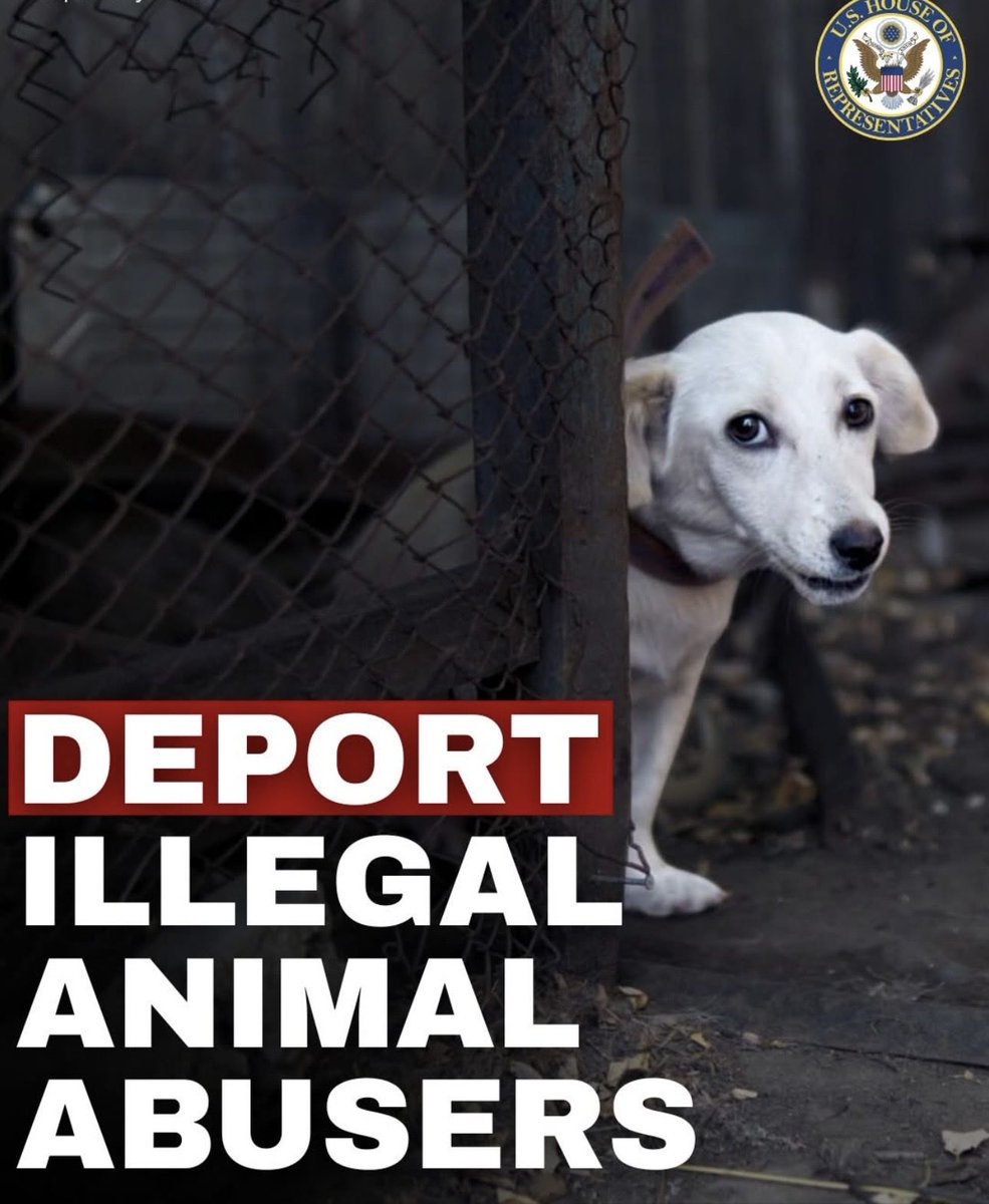 All of these illegals need to be removed ‼️