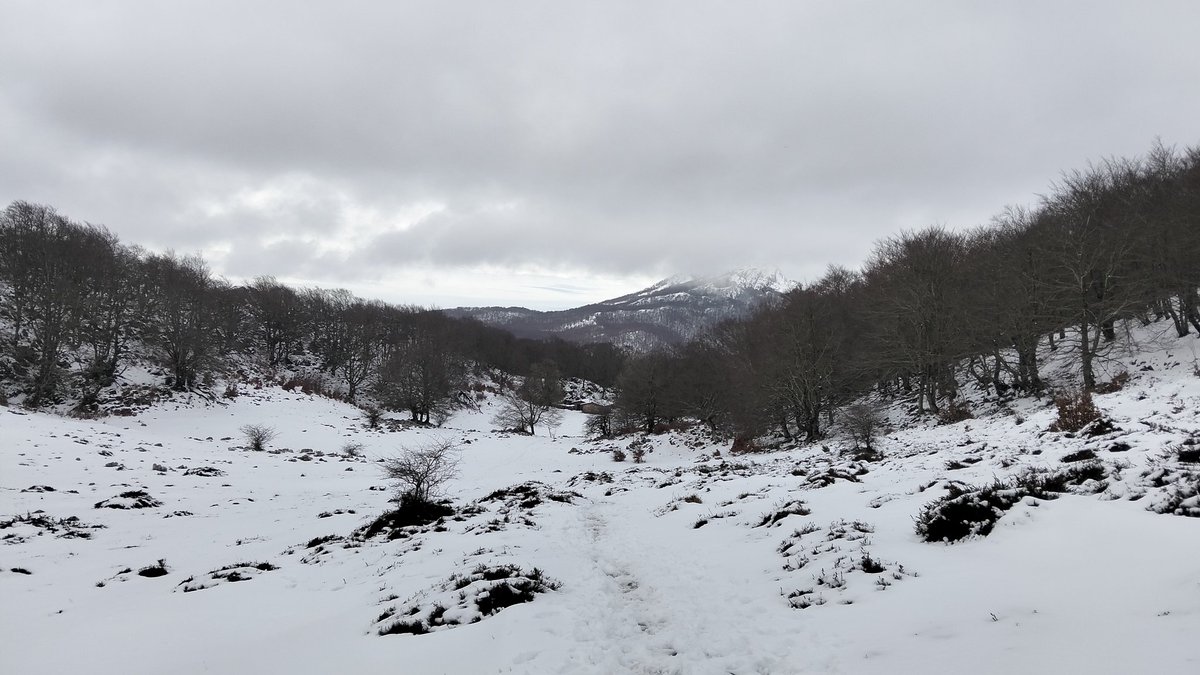 Iñaki EB2GKK tweet media