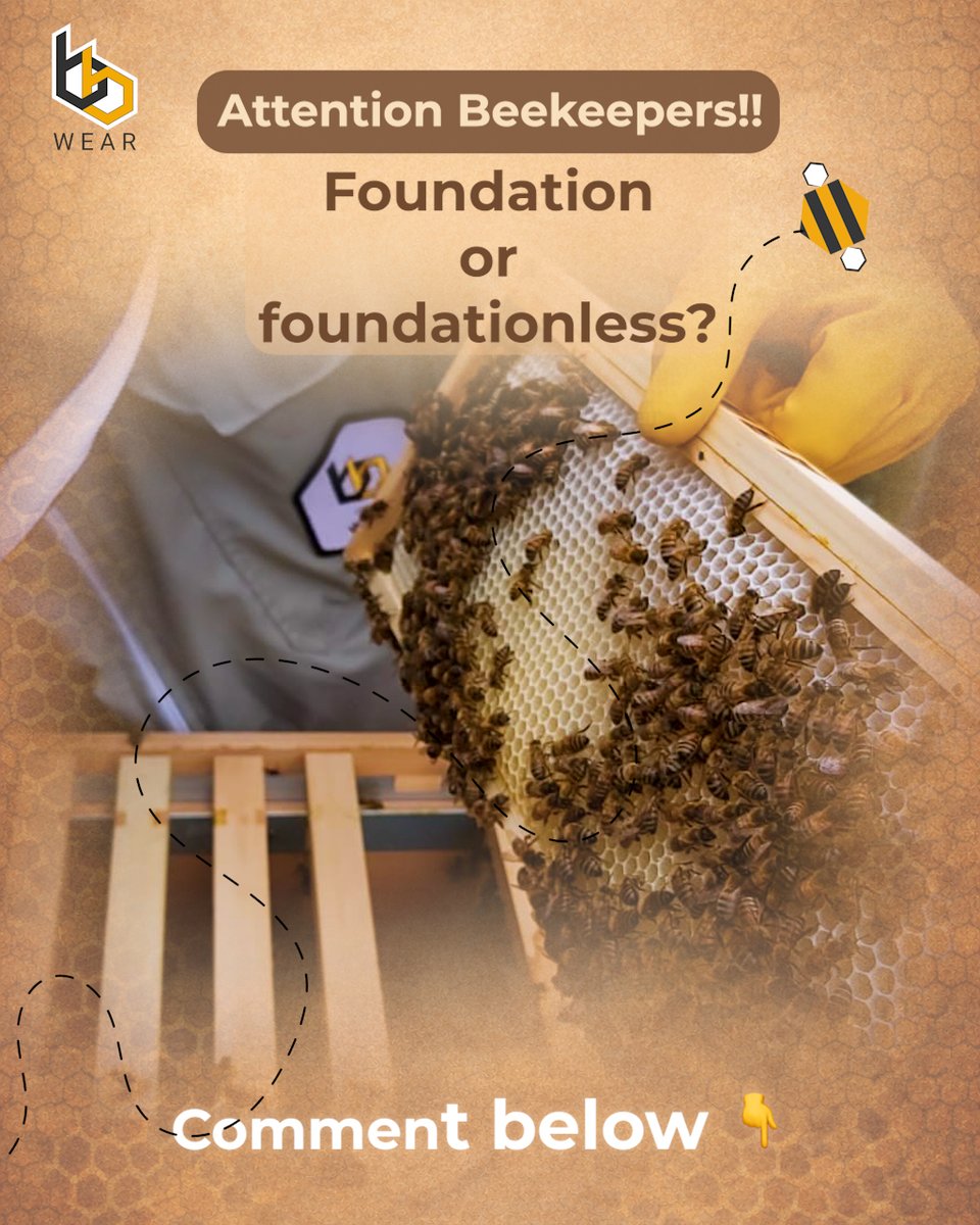 Do you prefer the structure and ease of foundation…
or letting your bees build comb naturally?
Where do you stand?👇

#Beekeeping #Beekeeper #HoneyBees #ApiaryLife