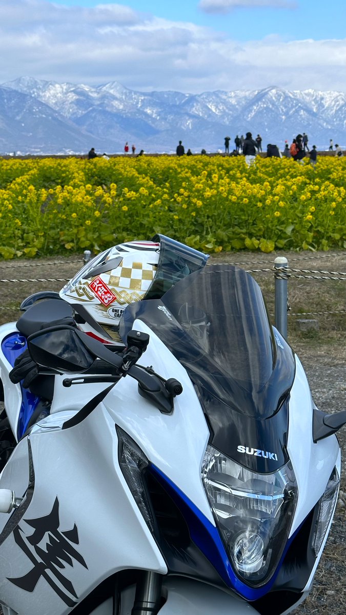 とらちゃん (@torachan675r1) / Posts / X