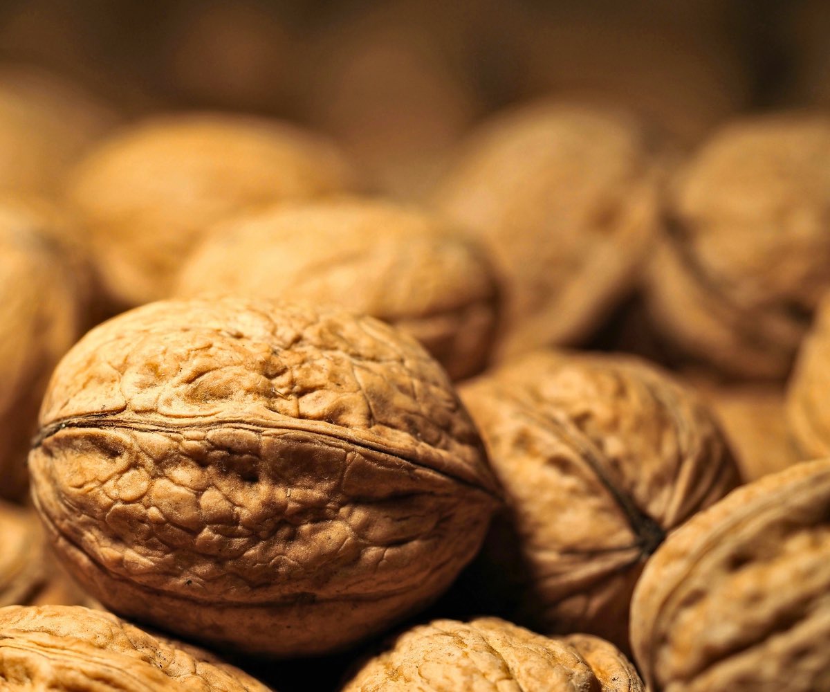 hftribe's tweet photo. Ever wondered which nuts reign supreme in the snack world? This guide lists 15 of the most popular types of nuts from around the world:

https://t.co/PVfnlTLX7Z https://t.co/YdhFm9GECh