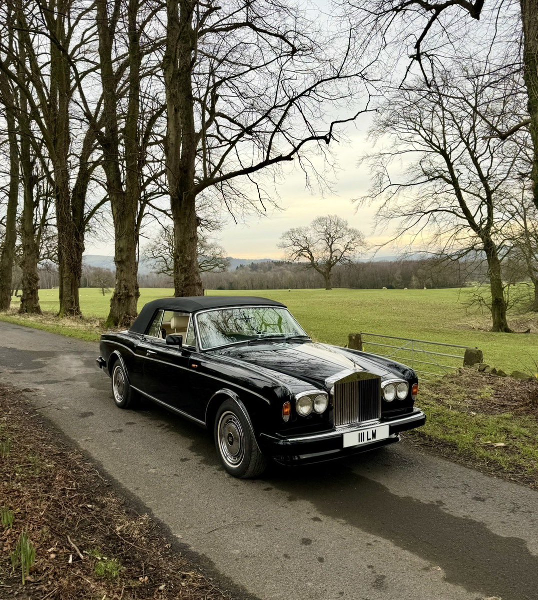 Lawrence Whittaker tweet media