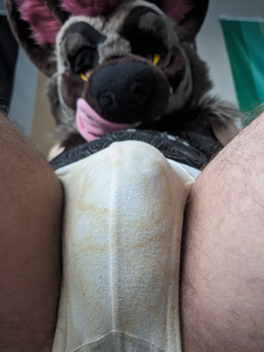 dumb mutt 🔞🧦 tweet media