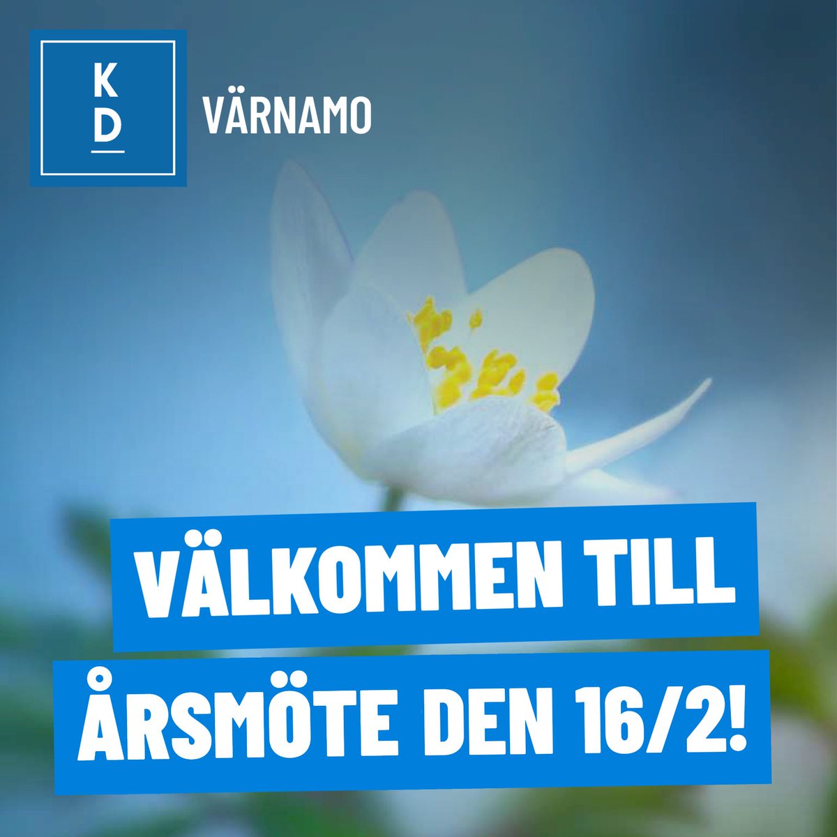 KD Värnamo tweet media