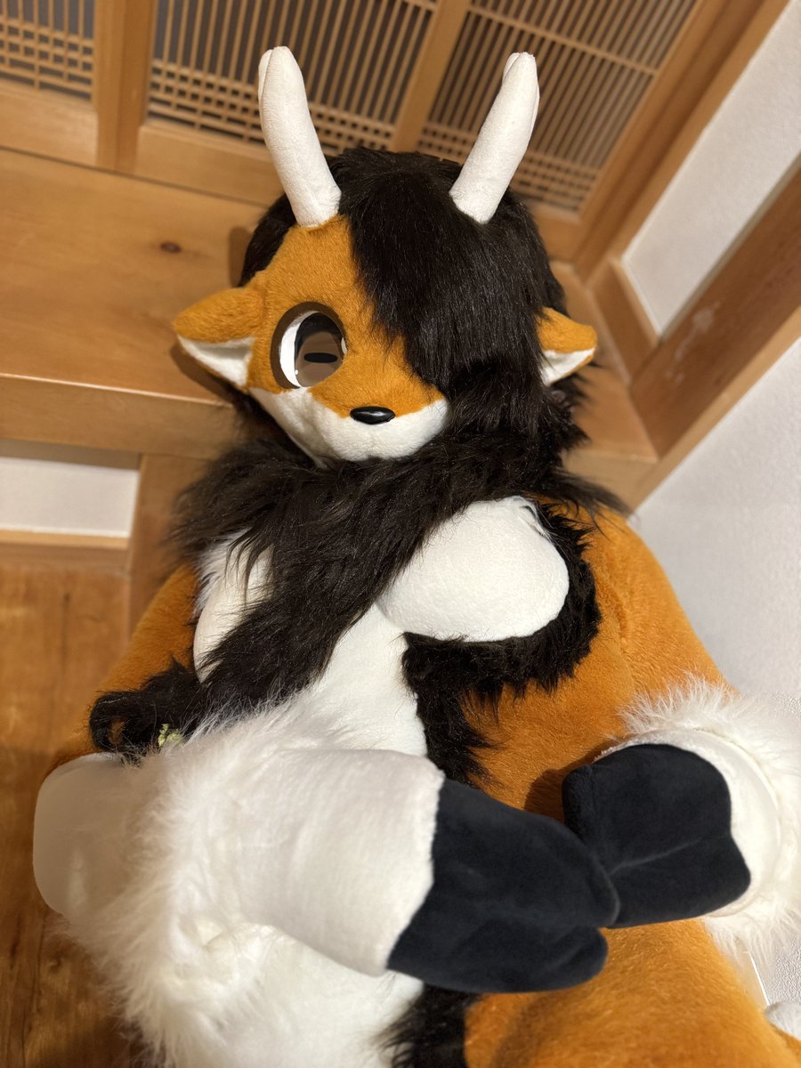 とかちちゃん♪🦌✨
#ケモノをみて今週もがんばりマンデー