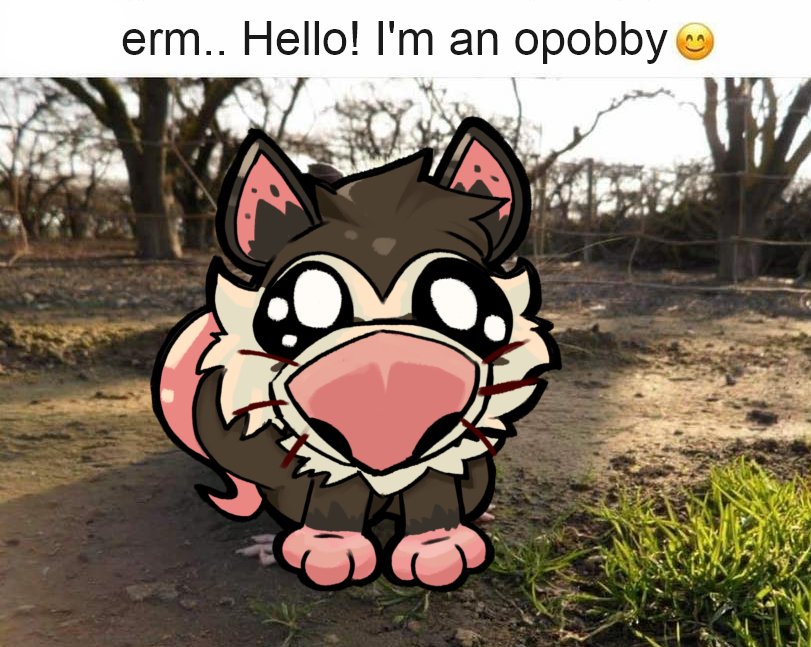 Skillet Scrambles (Fuck-ass creature) tweet media