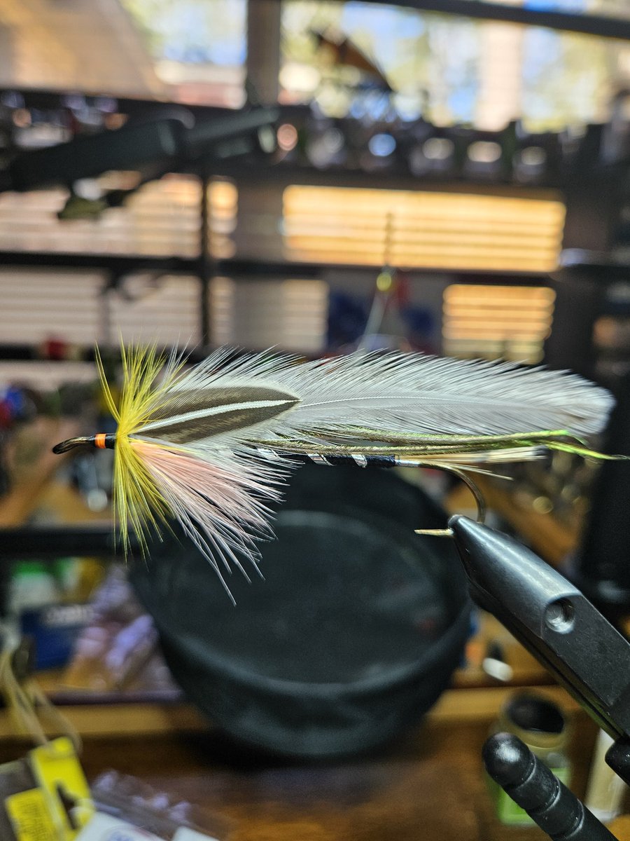 Doctor Gray, size 4, HMH CS2811 T.D.E. 2X Stout, 10X Long Sproat Streamer Hook.