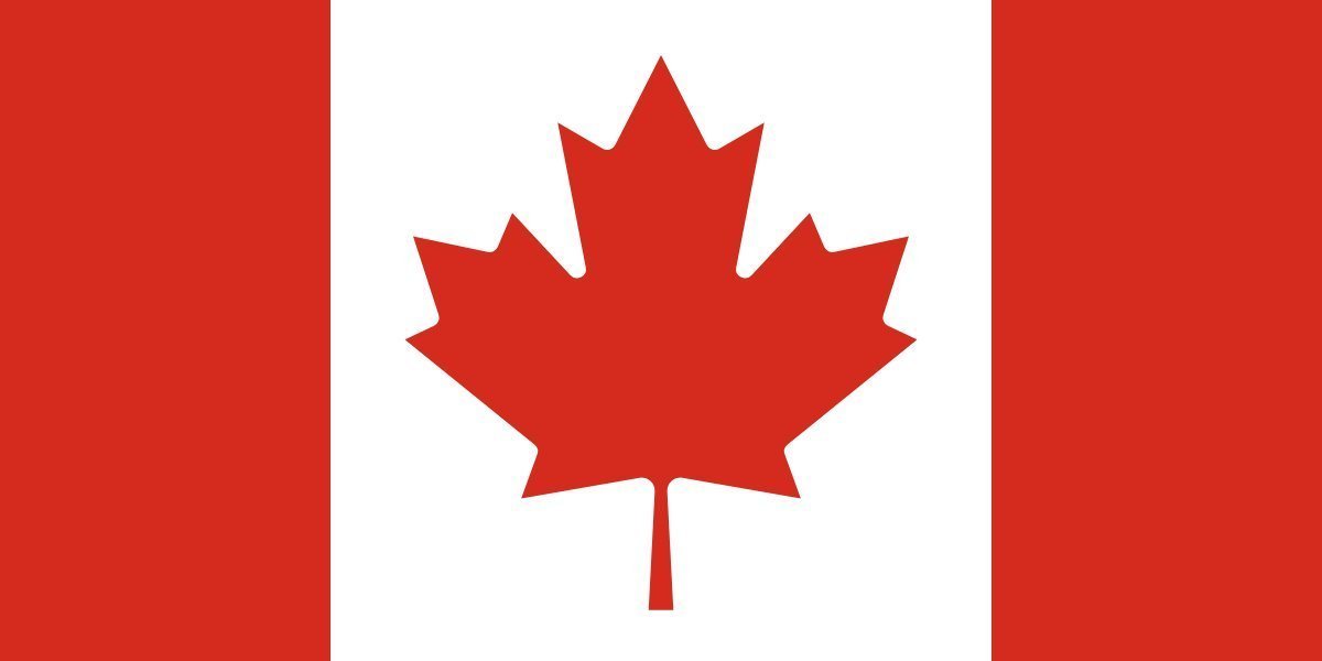 TrashPandaRacc's tweet photo. So many Canadian Vtubers I'm a little northern blond raccoon 🦝. Come roll in the snow and enjoy some ketchup chips with me my fellow Canadians!!!💛🖤💛 https://t.co/gtGnp9b7fm