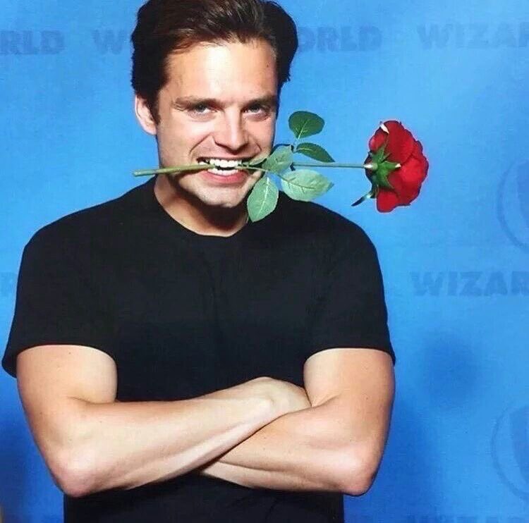 '𝐁𝐔𝐂𝐊𝐘 ”ᴡɪɴᴛᴇʀ ꜱᴏʟᴅɪᴇʀ” tweet media