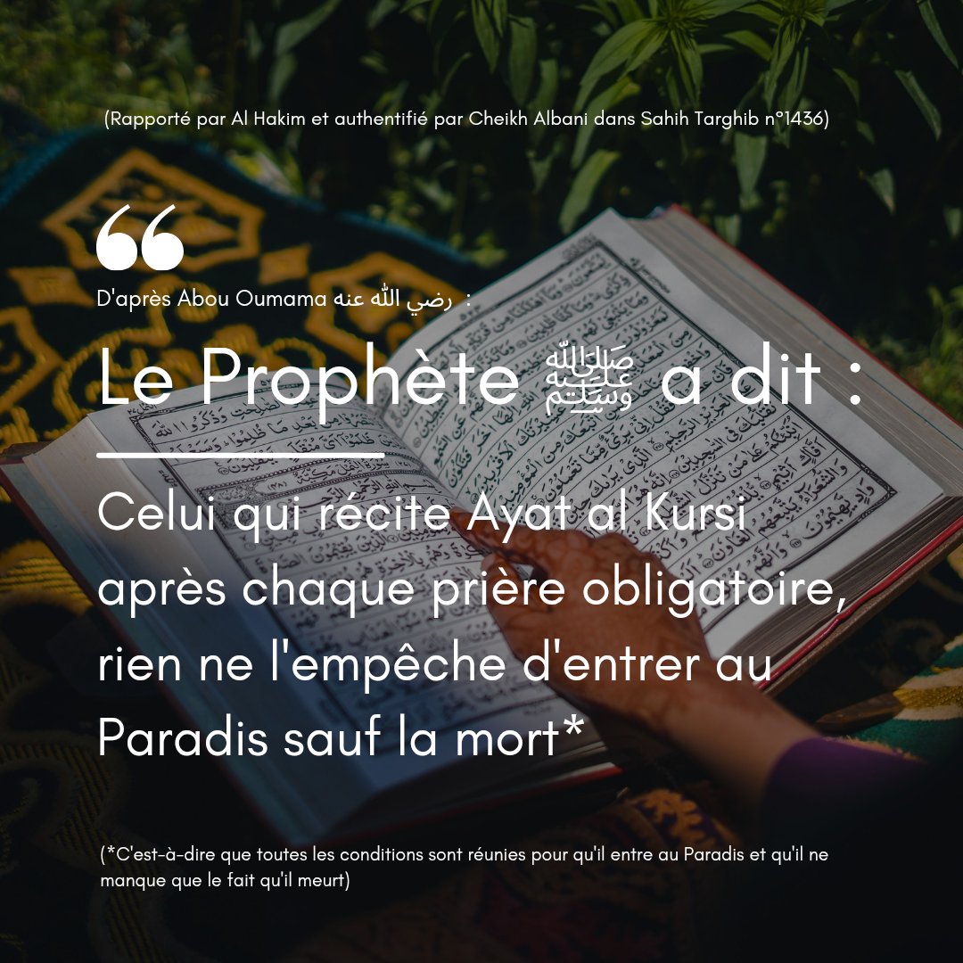 اگناسيو ڤارگا 🇲🇦 tweet media