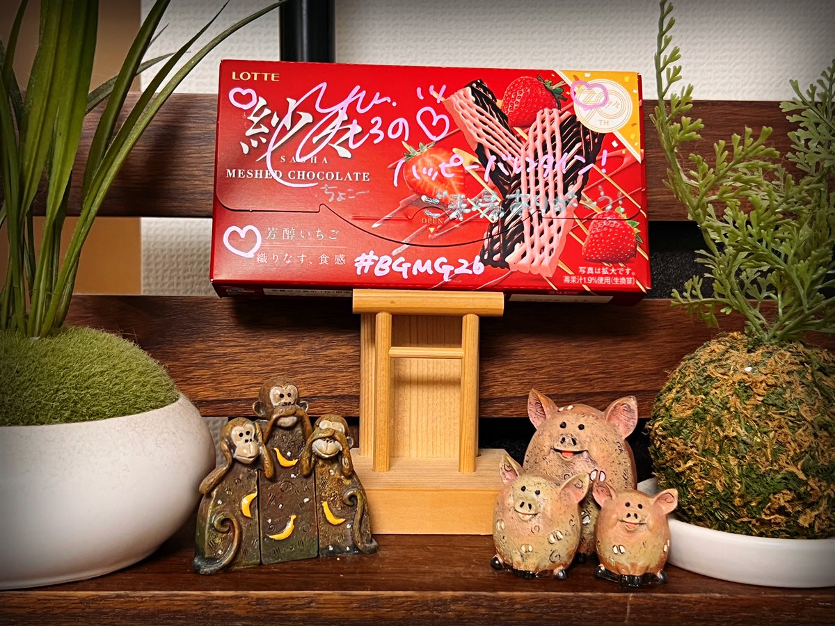 ちなみに白野さんから貰ったチョコ なんか勿体無くて神棚的なとこに