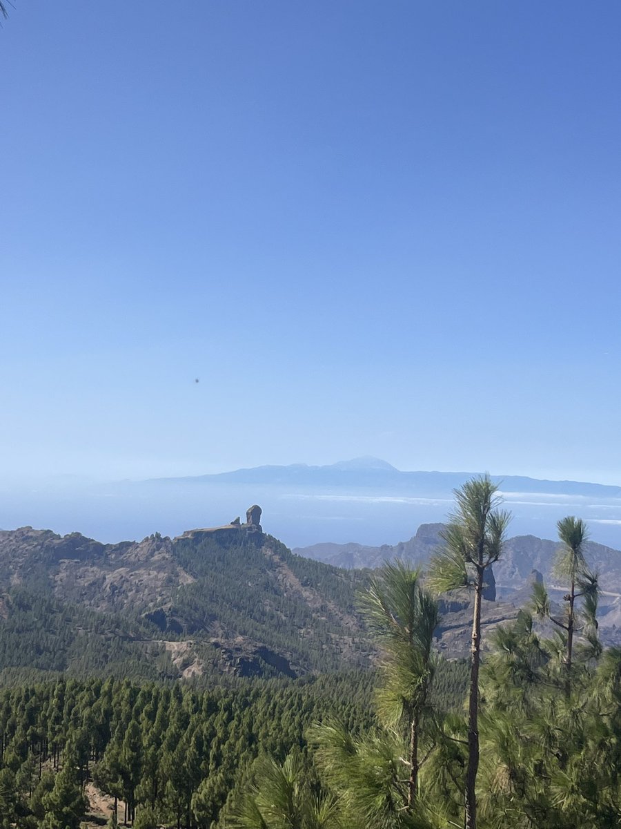 GxlDeFuster🪄🤹‍♂️| 🇮🇨🇳🇱🧉 tweet media