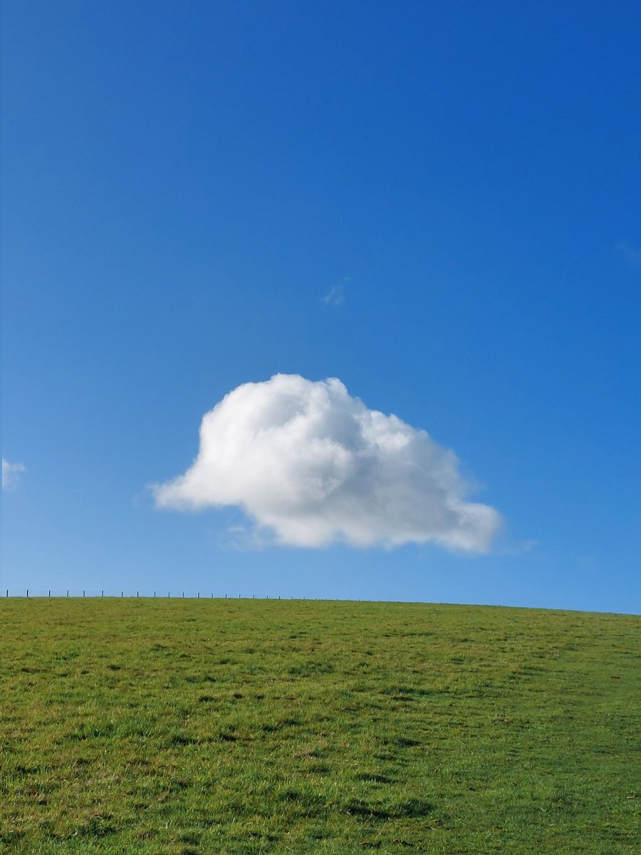 Phill Denson tweet media