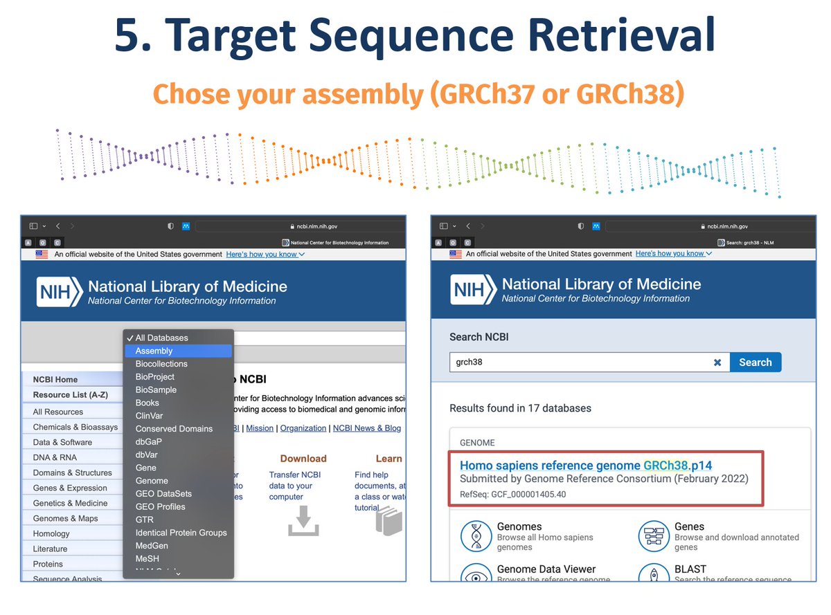 EvolutionMessage tweet media