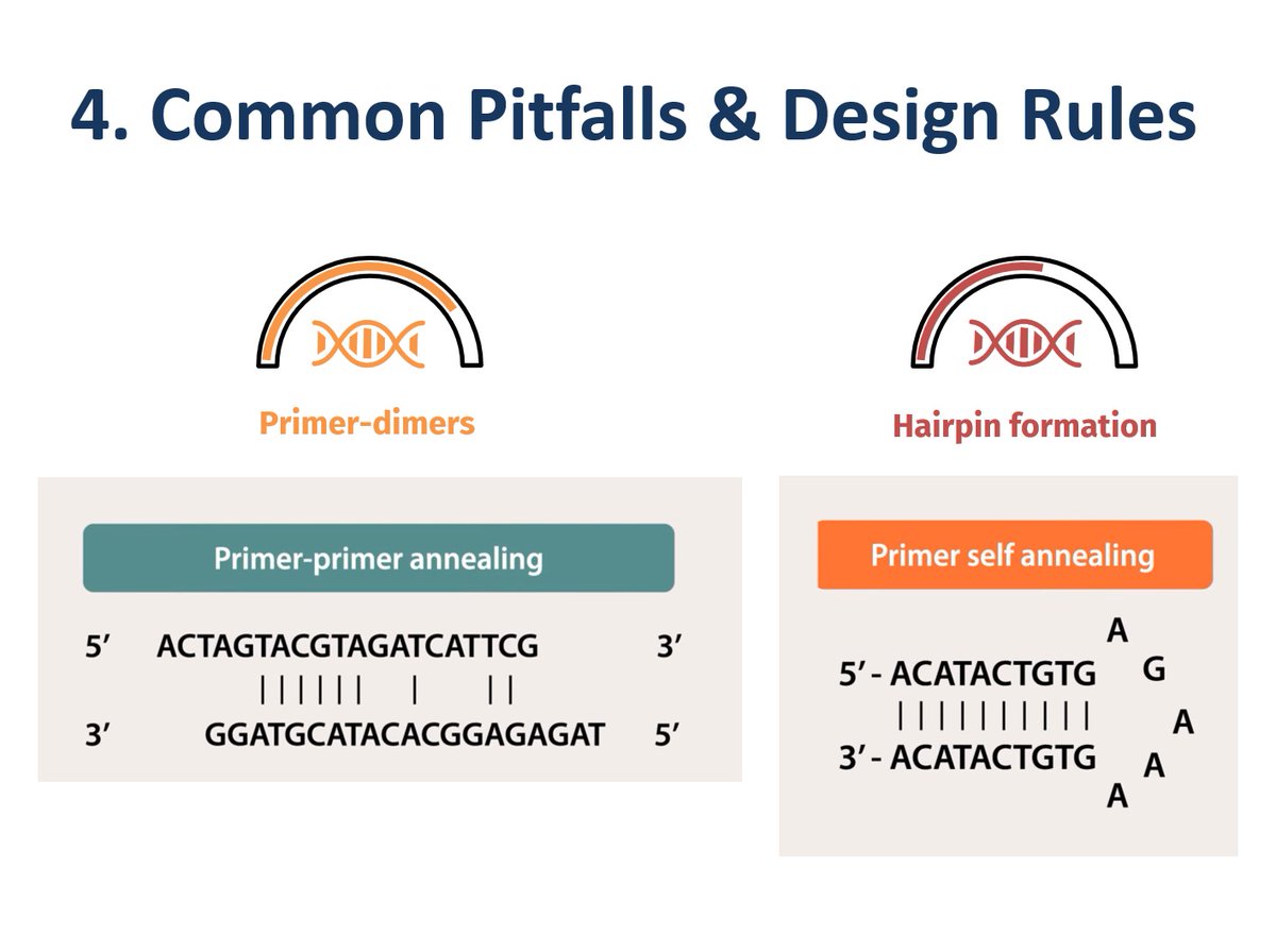 EvolutionMessage tweet media
