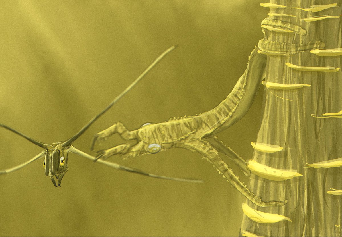 Frogworm about to violently tear apart a wingmouse 

Frogworms are the group that the frogwings (shocking I know) evolved from