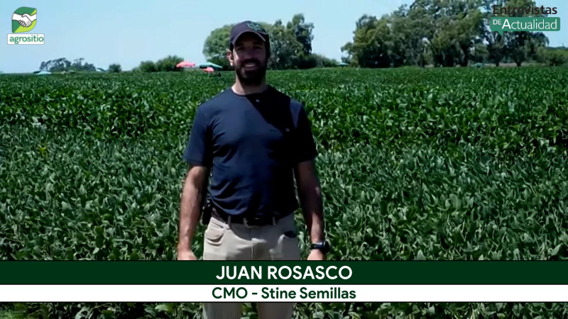 agrositio's tweet image. La vidriera de STINE con sus nuevas Sojas y Maíces de alto potencial; con Juan Rosasco - agrónomo
#genética #semillas #maíz #soja @stinesemillas 

agrositio.com.ar/canal-agrositi…