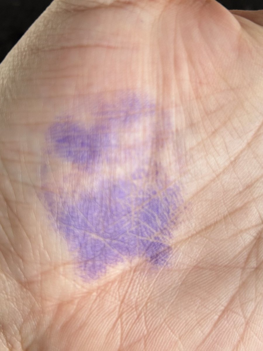 DietMiMo tweet media