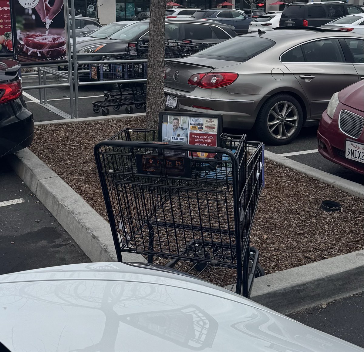 Scott Dilyard tweet media