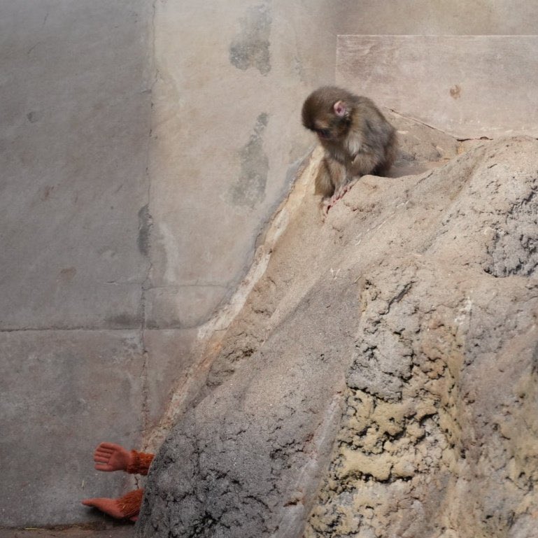 şebnem ferah bırak kadın olayım