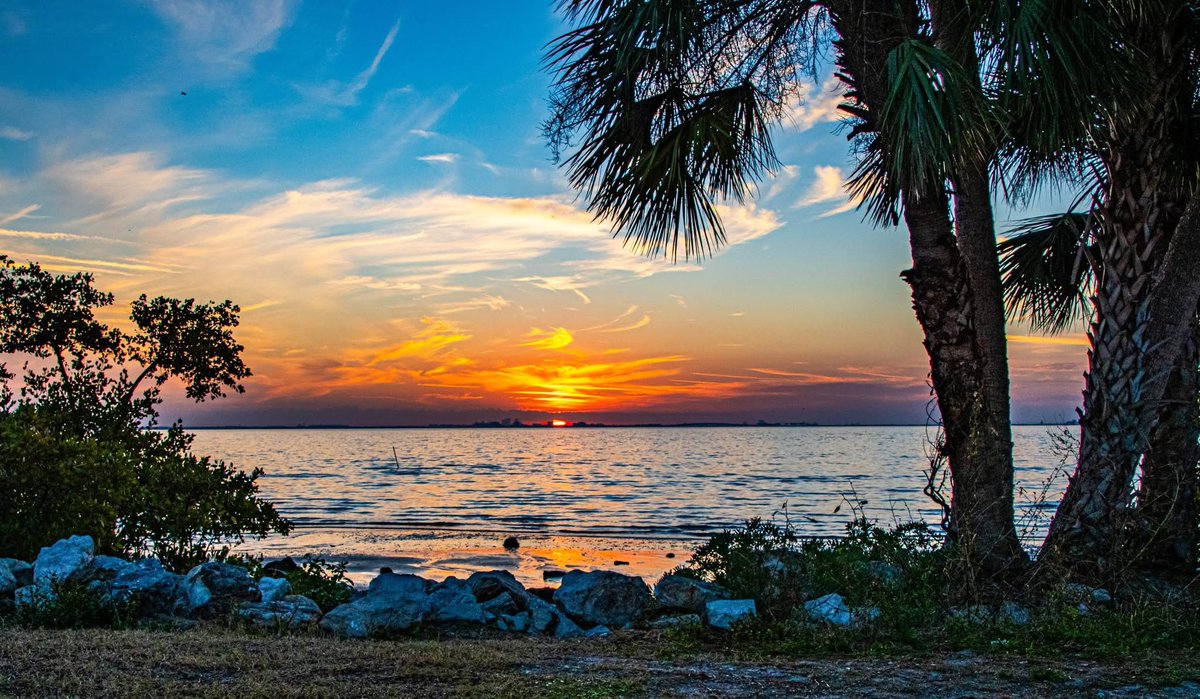 ArmyBrat68 tweet media